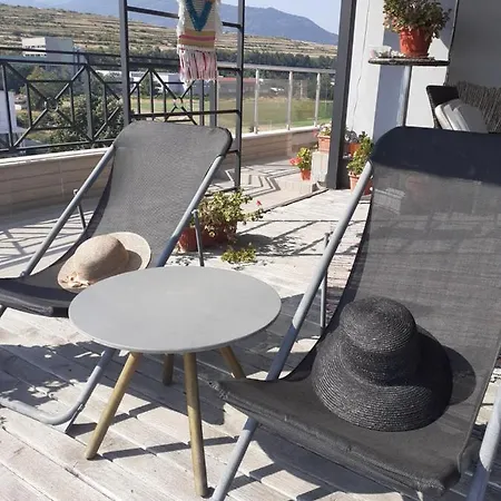 Alexander Asenovgrad