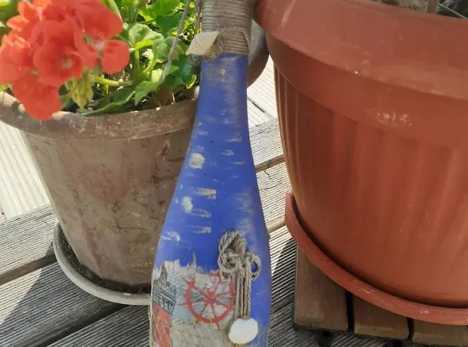 александър 2*