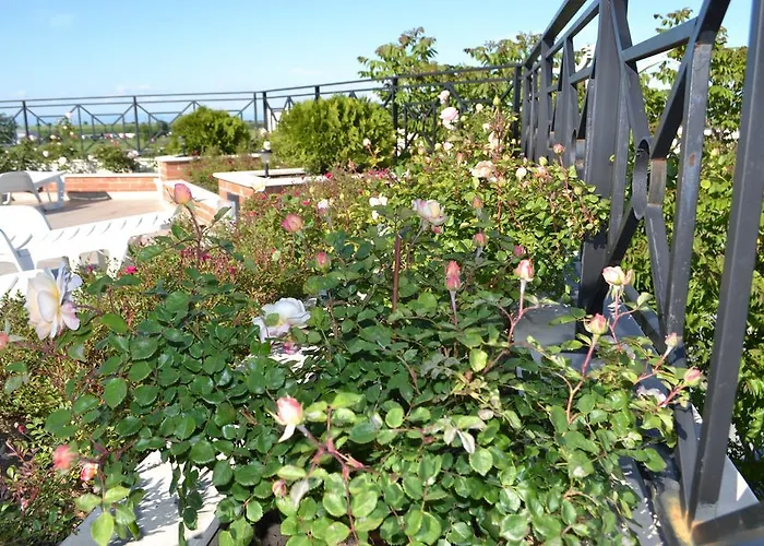 александър Хотел Асеновград