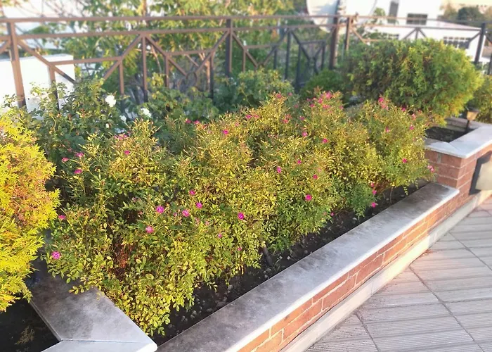 Хотел александър