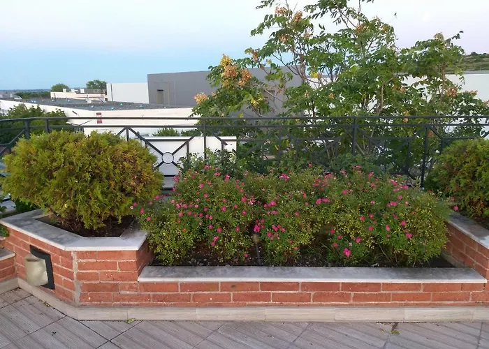 александър 2* Асеновград